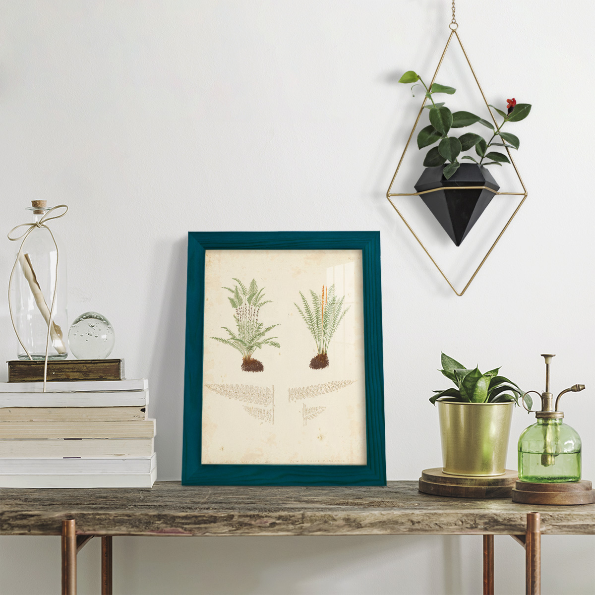 Fern Study III -Framed Print w/glass-Ocean Blue