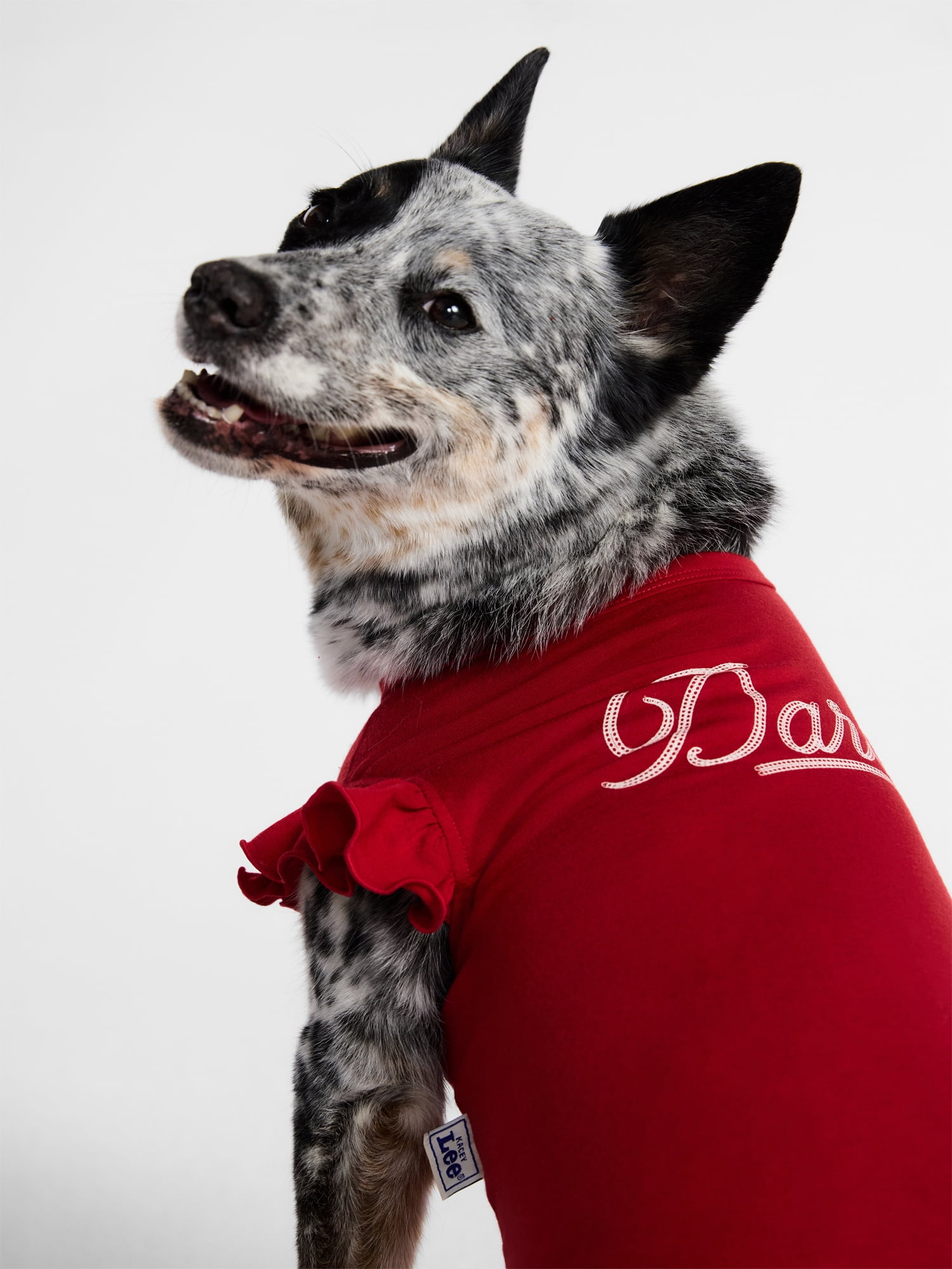 Kacey Lee Darlin' Ruffled Edge Pet Tee Shirt for Cats and Dogs, Red, Large