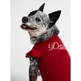 thumbnail image 3 of Kacey Lee Darlin' Ruffled Edge Pet Tee Shirt for Cats and Dogs, Red, Medium, 3 of 9