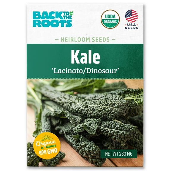 Back to the Roots Organic Kale 'Lacinato', 1 Seed packet