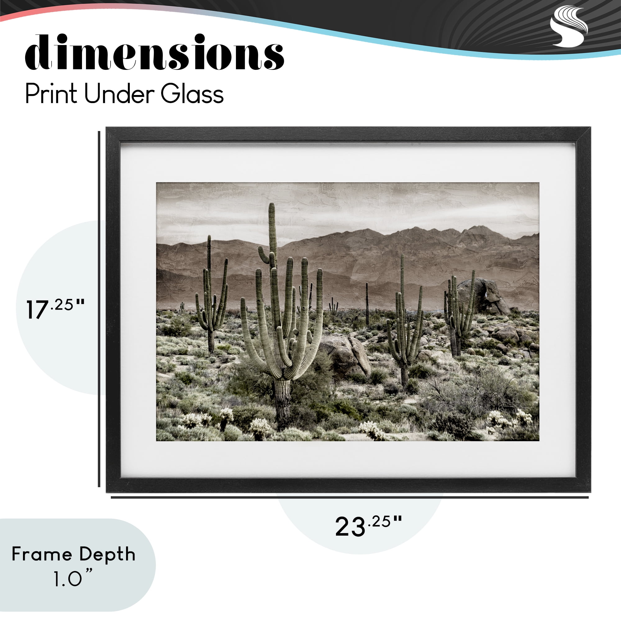 Stupell Industries Desert Land Cacti Wilderness Black Framed Print Under Glass, design by Kim Allen