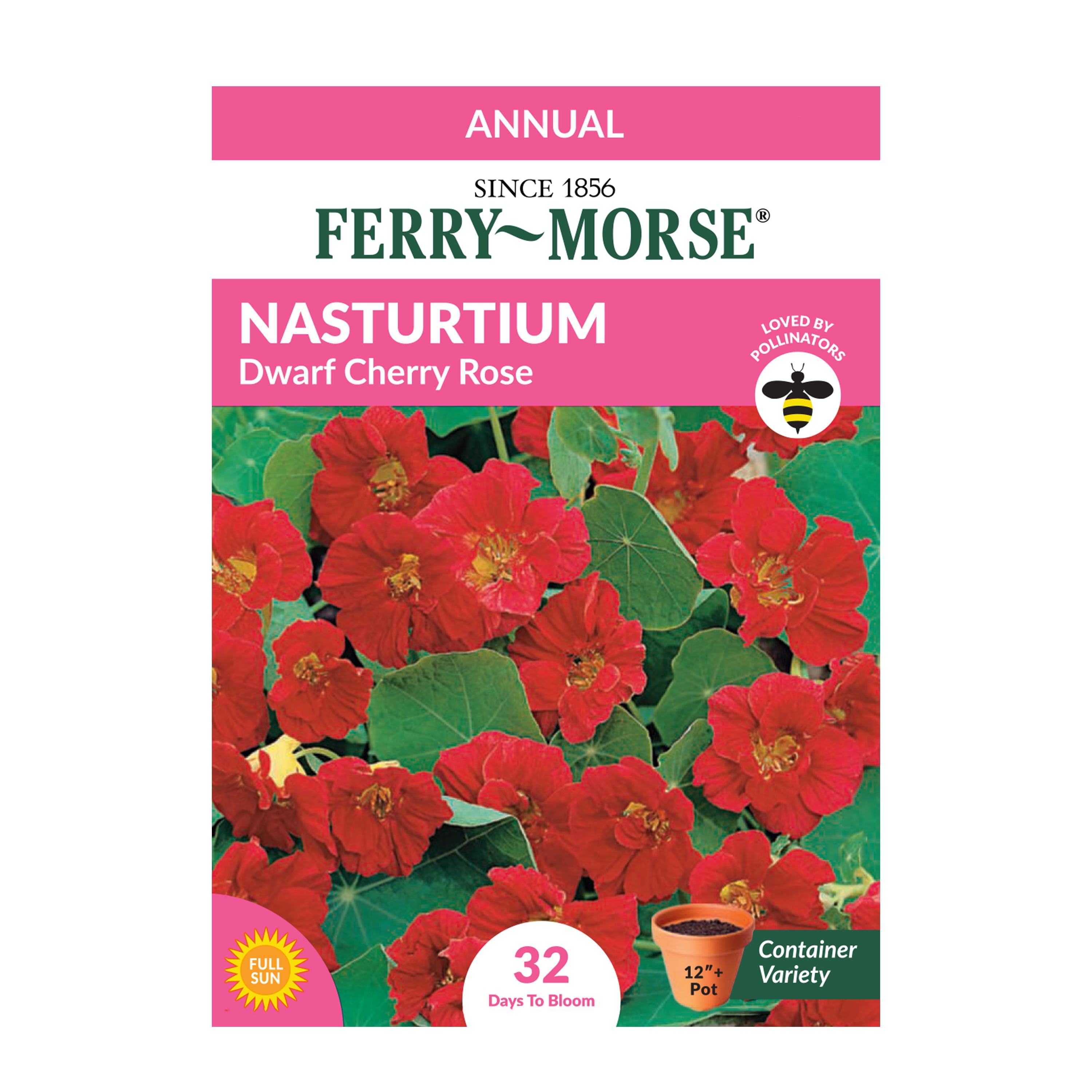 Ferry-Morse Nasturtium Cherry Rose Dwarf