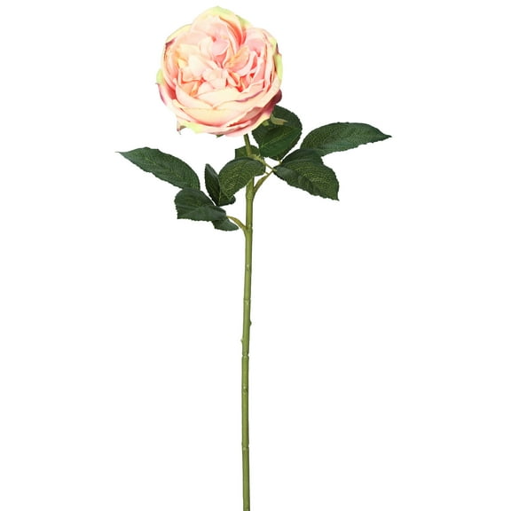 Vickerman 25" Artificial Light Pink Open Rose Stem, 6 per Bag