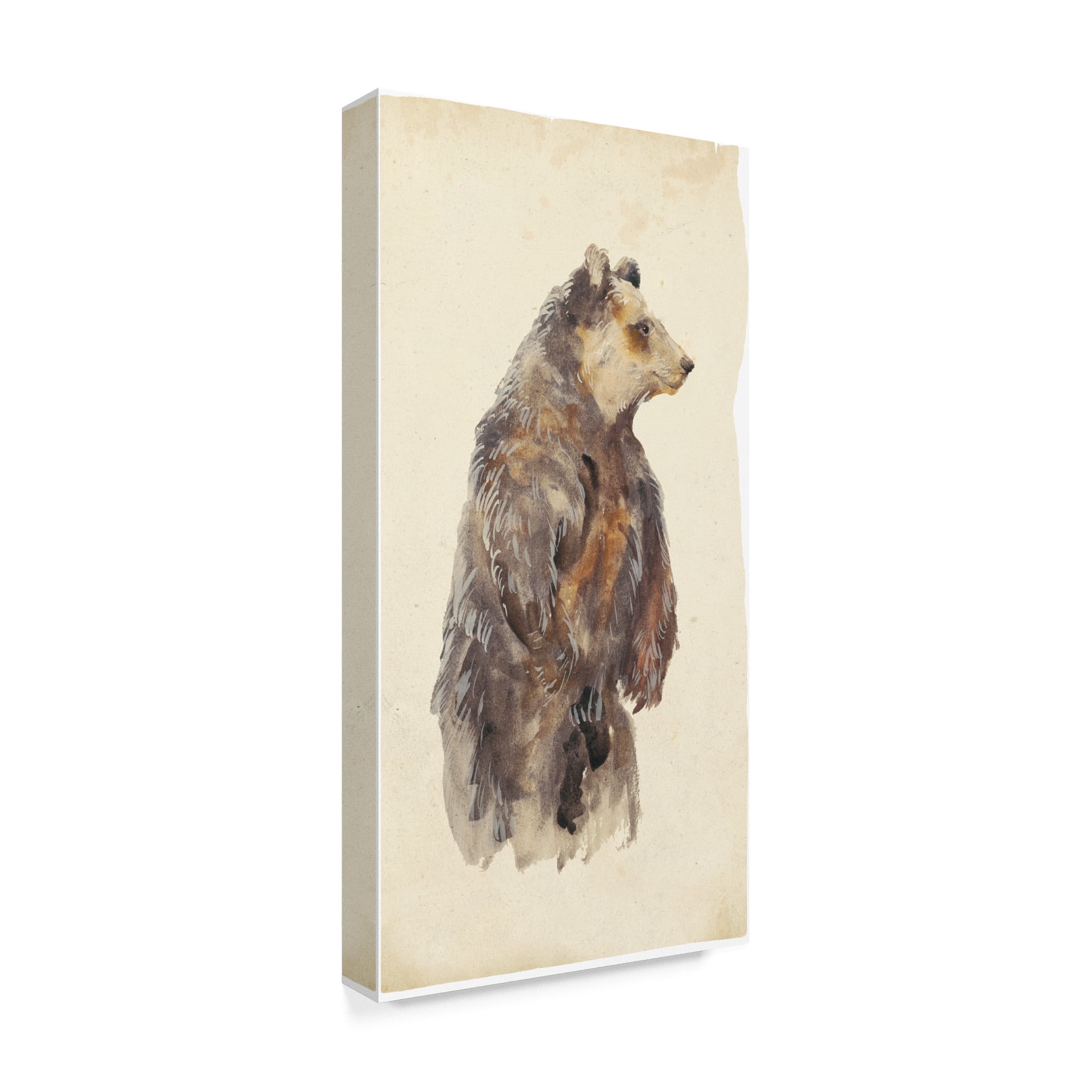 Trademark Fine Art 'Brown Bear Stare II' Canvas Art by Melissa Wang