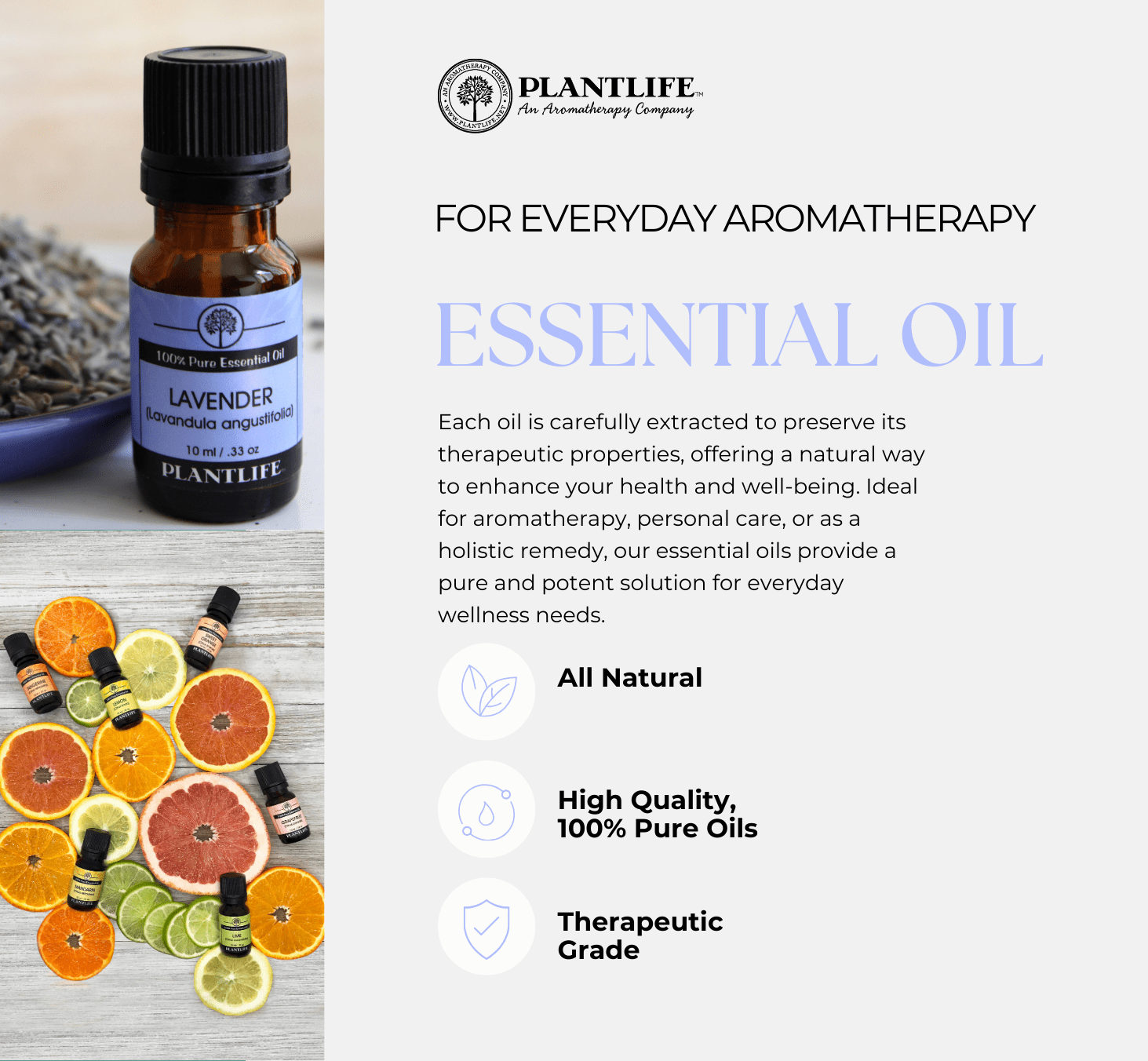 Plantlife Eucalyptus Essential Oil – 100% Pure Oil for Aromatherapy, Diffuser, Sinus Relief & Respiratory Support – 30 ml