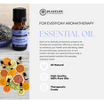 thumbnail image 2 of Plantlife Clementine Aromatherapy Essential Oil - Straight From The Plant 100% Pure Therapeutic Grade - No Additives or Fillers - 10 ml, 2 of 5