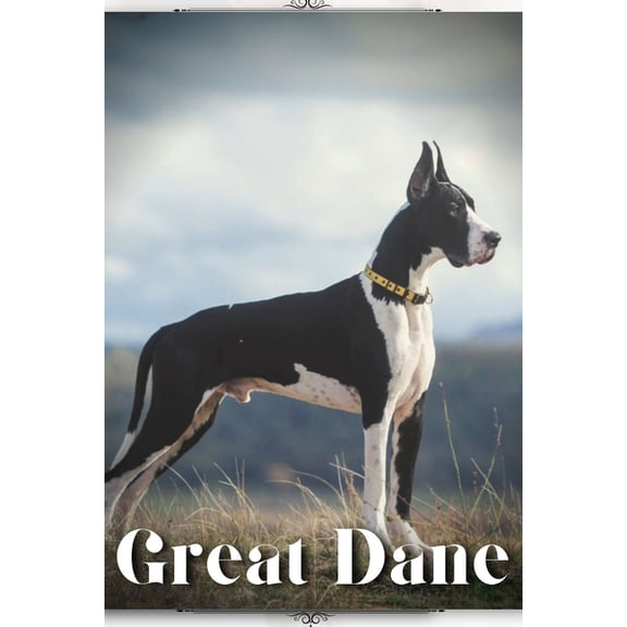Great Dane: Dog breed overview and guide, (Paperback)