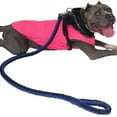 thumbnail image 4 of Correa de cuerda para perros, correa para perros resistente, correa para perros, correa de entrenamiento para perros diseñada para profesionales, 4 of 12