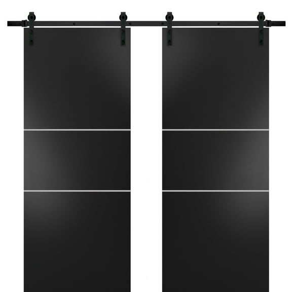 Sturdy Double Barn Door 36 x 80 inches with | Planum 0110 Matte Black with Frosted Glass | 13FT Rail Hangers Heavy Set | Solid Panel Interior Doors