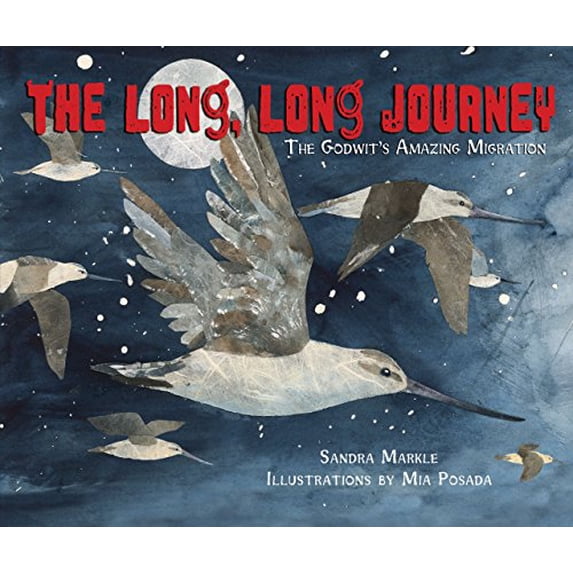 Pre-Owned The Long, Long Journey: The Godwit's Amazing Migration (Hardcover) by Sandra Markle