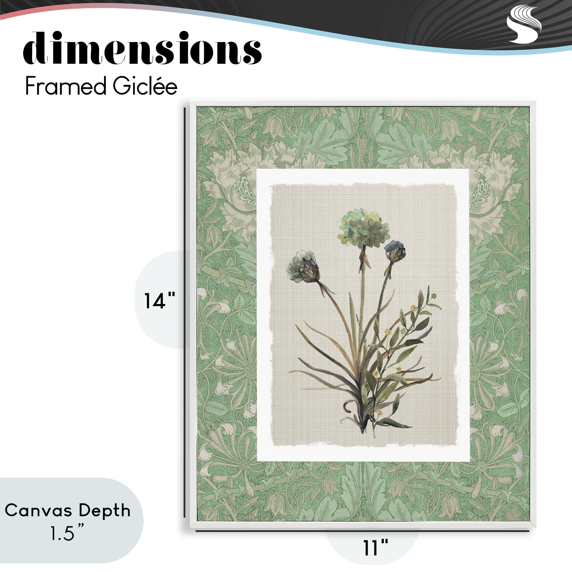 Stupell Industries Vintage Foliage in Green White Framed Giclee Art, design by Carol Robinson