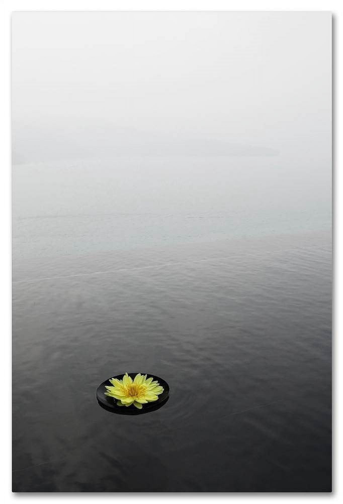 Trademark Fine Art "Zen 20x30 Reversed" Canvas Art by Kurt Shaffer