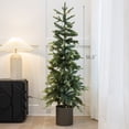thumbnail image 5 of Barton Alpine Pencil Christmas Tree, Pre-Lit Slim Artificial Holiday Decoration, 4.6' Lighted Skinny With Pot Base, Warm White Lights, 5 of 6