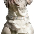 thumbnail image 5 of Oodles Polyester Sassy Summer Icons Adjustable Fashion Dog Collar, White, Medium, 5 of 9