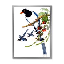 Designart 'Vintage Countryside Birds On Branch IV' Farmhouse Framed Art Print