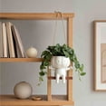 thumbnail image 4 of Halloween Resin Pumpkin Planter, Spooky Hanging Flower Pot for Indoor Outdoor Home Decor, 4 of 7