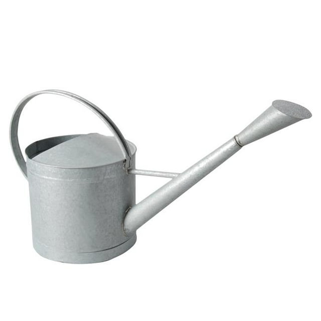 Esschert Design W4010 9L Arrosoir Extérieur & 44; Zinc - Extra Large