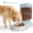 DOG FEEDER-3 GALLON, variant on DENZUS Pet Water Dispenser, 3-Gallon Large Automatic Waterer for Dogs and Cats with Thickened Durable Design and Cleaning Brush