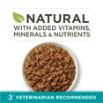 thumbnail image 5 of Purina ONE Natural, High Protein Wet Cat Food, Tuna Recipe in Sauce, 5 of 12