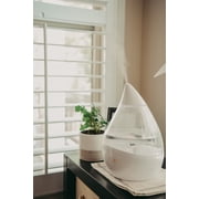 Crane Ultrasonic Humidifiers for Bedroom and Office, 1 Gallon 4-in-1 Cool Mist Air Humidifier for Large Room and Home, Humidifier Filters Optional, Clear & White