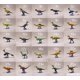 thumbnail image 1 of Wild Animal Dinosaur Model Ornaments Tyrannosaurus Rex Velociraptor Corythosaurus Miniature Decor Action Figures Figurine Toys23 He Qiyong unisex, 1 of 1