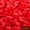 Red, variant on Rose petals, perfect for romantic nights, weddings, anniversary decorations, non-woven fabric displays, declarations of love, wedding room arrangements, romantic proposals, flower-throwing dances.