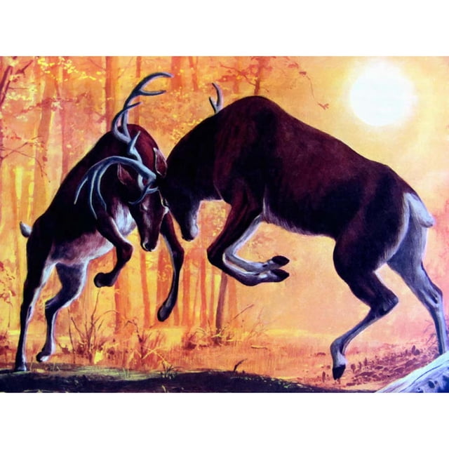 Drill Diamond Painting (DF3477) 5D DIY Kits de bordado de punto de cruz completo (Deer08) 50x70cm FLhrweasw Nuevo