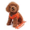 Giugt Dog Puppy Harness Lead Set Mesh Chihuahua Rabbit Cat Teacup Pet