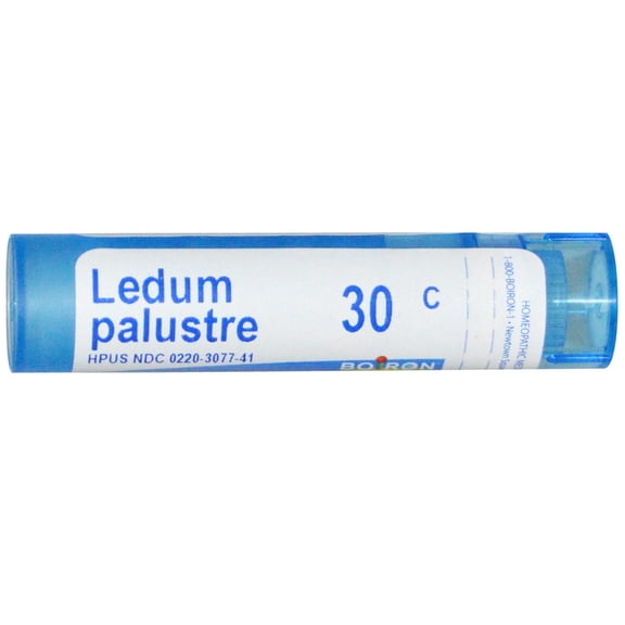 Boiron Ledum Palustre 30C, Homeopathic Medicine for Insect Bites or Bruising Relief, 80 Pellets
