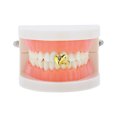 thumbnail image 2 of Unique Bargains 1 Pc Fake Grills Hip Hop Rhinestone Design Teeth Grillz Gold Tone, 2 of 6