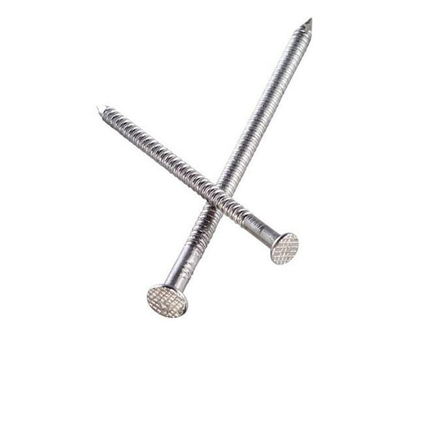 Swan Secure 5280987 8D 2.5 in. Deck Stainless Steel Nail with Round