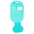 ASPCA Squeaky Spiked Bone Dog Toy, Large, Blue