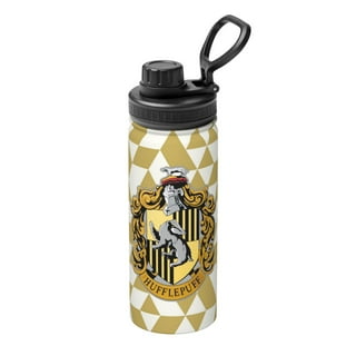 Owala Harry Potter FreeSip Insulated Stainless Steel Water Bottle with  Straw, BPA-Free Sports Water Bottle, Great for Travel, 24 oz, Hufflepuff