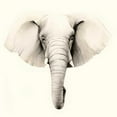 thumbnail image 3 of Popp, Grace 20x20 Black Modern Framed Museum Art Print Titled - Safari Portrait IV, 3 of 5