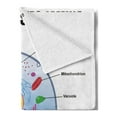 thumbnail image 2 of Educational Soft Flannel Fleece Blanket, Microbiology Theme Animal Cell Structure Genetic Research School Study Science, Cozy Plush for Indoor and Outdoor Use, 70" x 90", Multicolor, by Ambesonne, 2 of 5