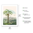 thumbnail image 2 of Jelly Palm Tree (Butia Capitata) - Minas Gerais Brazil - Vintage Botanical Illustration by Carl Friedrich Philipp von Martius c.1820s - Bamboo Fine Art 290gsm Paper (Unframed) 12x16in, 2 of 4