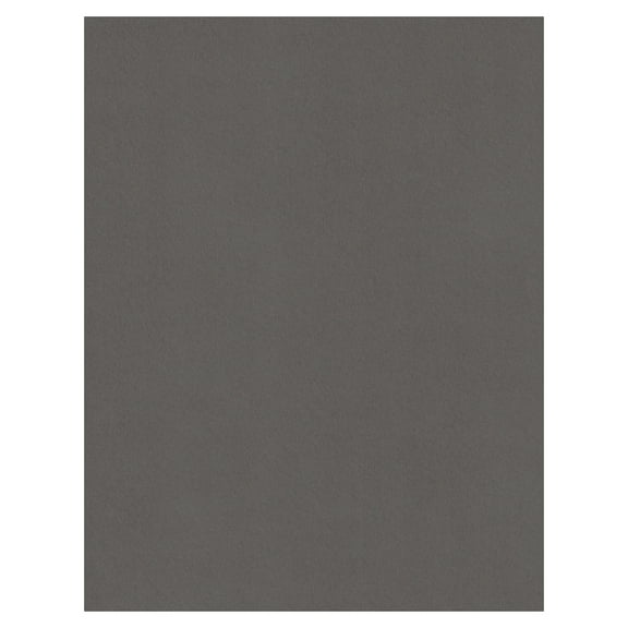 Cardstock Warehouse Lessebo Rhino - 8.5 x 11 inch Cardstock Paper Paper 83 lb. - 50 Sheets
