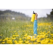 Hydro Flask Wide Mouth Water Bottle Stainless Steel, Straw Lid - 32Oz - Fog