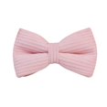 thumbnail image 1 of Pink Corduroy Dog Collar And Leash Set With Custom Engraved Nameplate, 1 of 17
