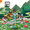 5000, variant on 5000PCS Zoo Complex Park Building block toy set Large zoo, decorative miniature building block toy