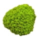 thumbnail image 4 of Adornos de musgo artificial decorativo de 25 g para decorar el dormitorio y eventos especiales. Verde, 4 of 9