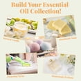 thumbnail image 5 of MAYJAM Classic Essential Oils Set for Diffuser, Humidifier, Aromatherapy, Massage, Skin Care, Candle Making (28 Pack/5mL), 5 of 10