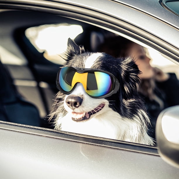 Gafas De Sol Para Perros, Gafas De Sol Para Decoraciones De Mascotas, Accesorios De Protección Para Los Ojos Accesorios Para Mascotas Para Perros Medianos Y Grandes Gafas De Sol Fyydes Pet Eyes Protective Accessories