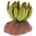 thumbnail image 2 of Succulent Plant Home Ornament Reptile Habitat Decoration Aquarium Fish Terrarium Landscape Decor 1, 2 of 9