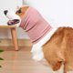 thumbnail image 5 of Orejeras silenciosas para perros para proteger los oídos, orejeras calmantes para perros y gatos, capucha para aliviar la ansiedad y cálida, 5 of 5