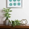 thumbnail image 3 of Vickerman 22" Artificial Green Syngonium Bush., 3 of 3