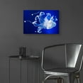 thumbnail image 6 of Epic Art 'Translucent Jellyfish' by Epic Portfolio Acrylic Glass Wall Art, 24"x16", 6 of 8