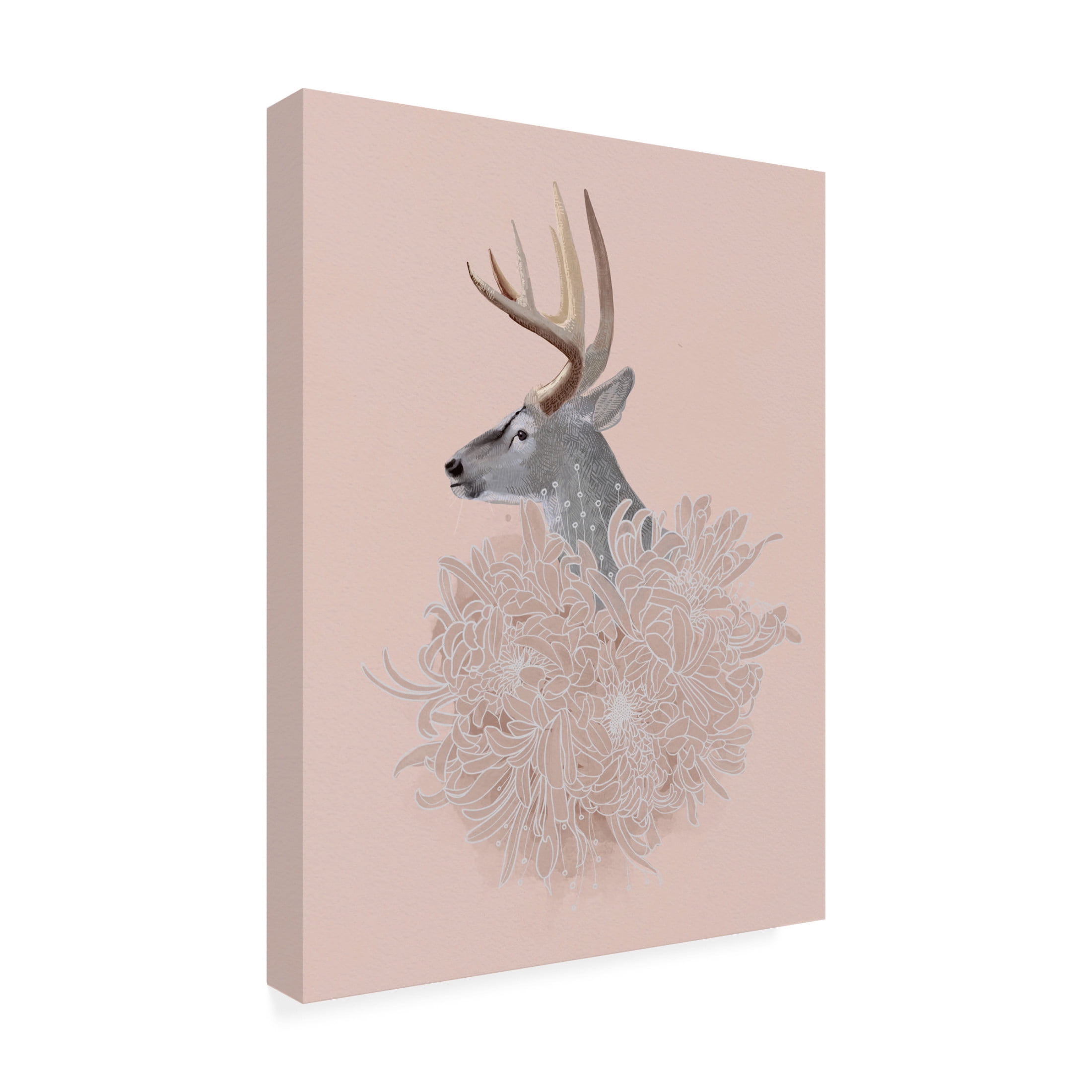 Trademark Fine Art Katie O'Shea Buck and Flower II Canvas Wall Art
