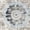 Blue/Charcoal, variant on Safavieh Mirage Moema Floral Area Rug, Blue/Charcoal, 8' x 10'