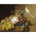 thumbnail image 3 of Jensen, Johan Laurents 18x15 Black Modern Framed Museum Art Print Titled - Sweet William, Forget Me Not, 3 of 5